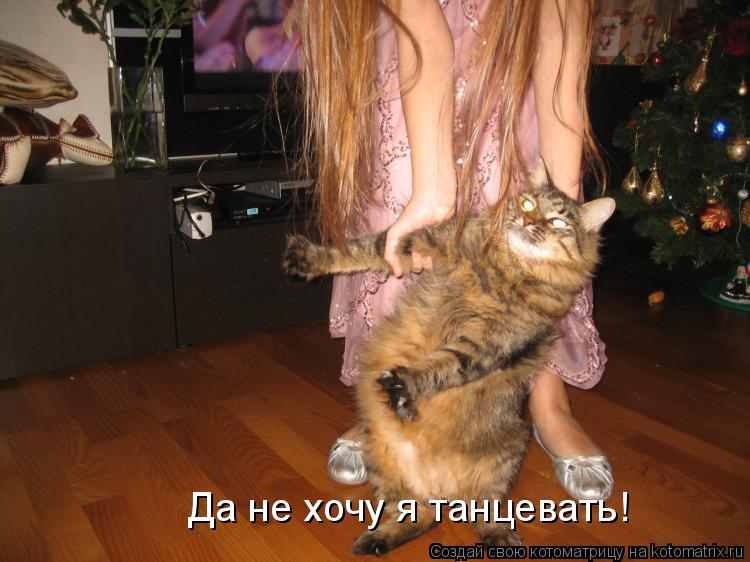 Котоматрица: Да не хочу я танцевать!