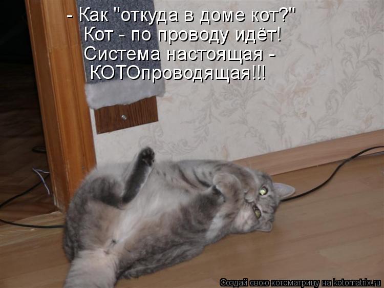 - Как "откуда в доме кот?" Кот - по проводу идёт! Система настоящая - КОТОпроводящая!!!... Котоматрица: - Как "откуда в доме кот?" Кот - по проводу идёт! Система настоящая - КОТОпроводящая!!!
