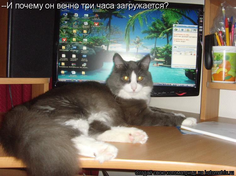 Котоматрица: --И почему он вечно три часа загружается?