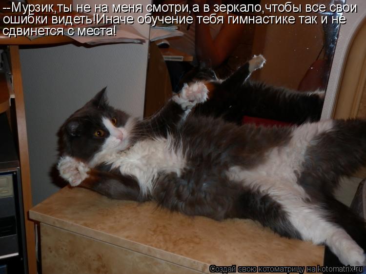 Котоматрица: --Мурзик,ты не на меня смотри,а в зеркало,чтобы все свои ошибки видеть!Иначе обучение тебя гимнастике так и не сдвинется с места!
