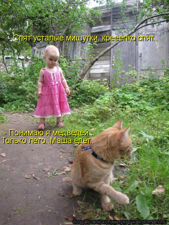 Котоматрица: - Спят усталые мишутки, крееепко спят.. - Понимаю я медведей... Только лето..Маша едет..