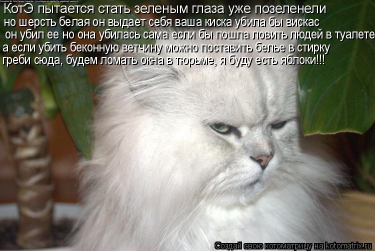 Котоматрица: КотЭ пытается стать зеленым глаза уже позеленели но шерсть белая он выдает себя ваша киска убила бы вискас он убил ее но она убилась сама ес