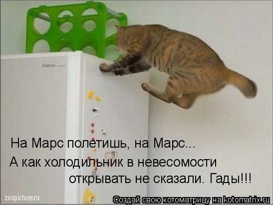 Котоматрица: На Марс полетишь, на Марс... А как холодильник в невесомости  открывать не сказали. Гады!!!