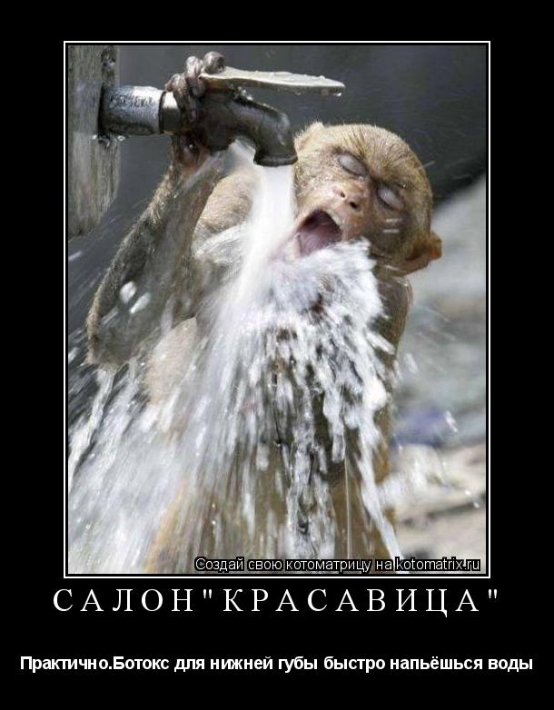 Котоматрица: Салон"Красавица" Практично.Ботокс для нижней губы быстро напьёшься воды