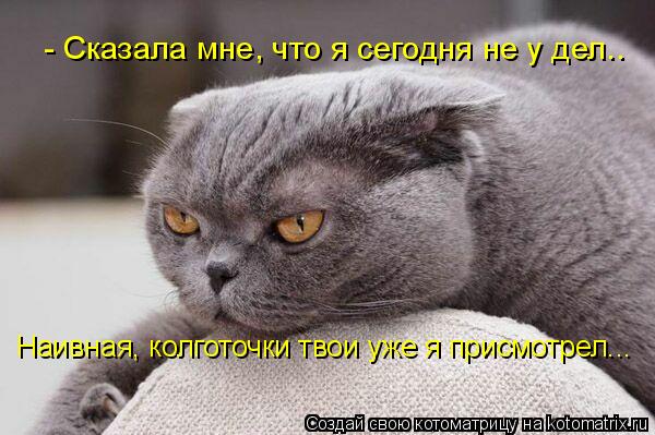 Котоматрица: - Сказала мне, что я сегодня не у дел..  Наивная, колготочки твои уже я присмотрел...