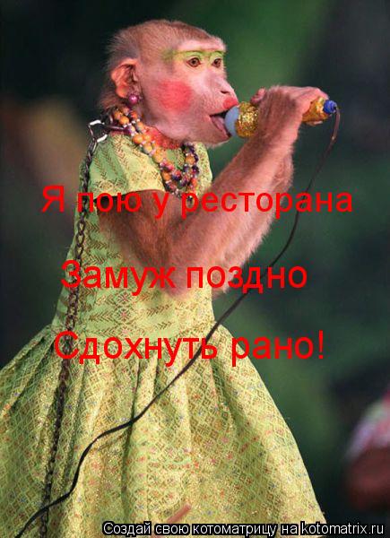 Котоматрица: Я пою у ресторана Замуж поздно Сдохнуть рано!