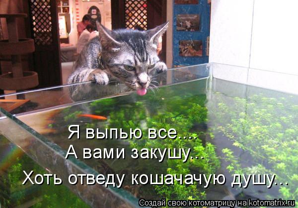 Котоматрица: Я выпью все.... А вами закушу... Хоть отведу кошачачую душу...