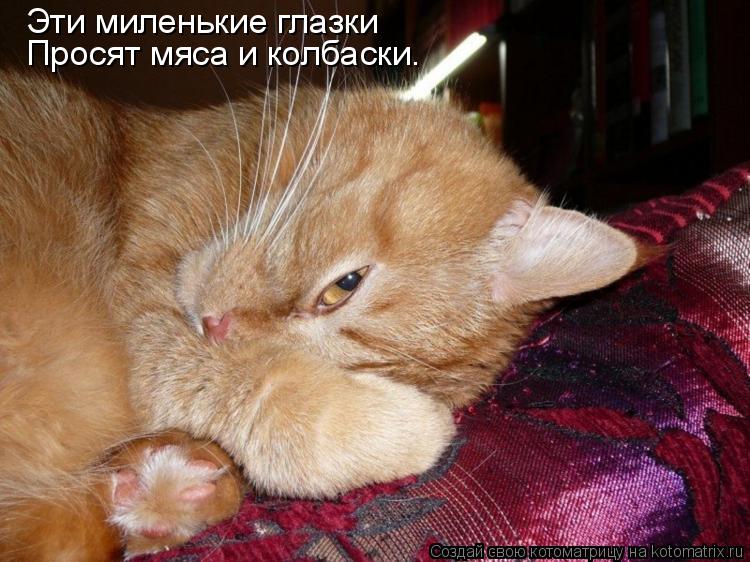 Котоматрица: Эти миленькие глазки Просят мяса и колбаски.