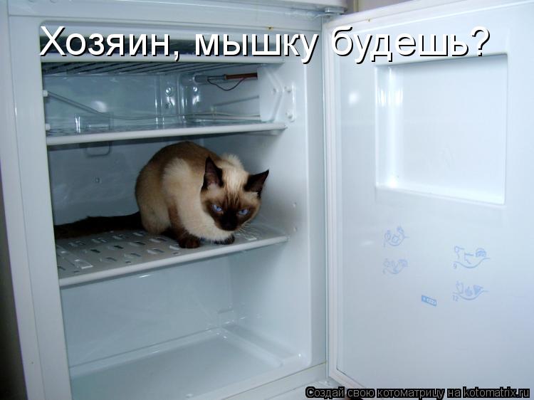 Котоматрица: Хозяин, мышку будешь?