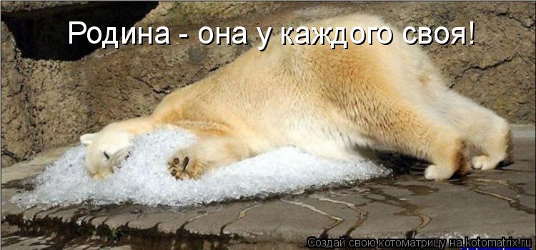 Котоматрица: Родина - она у каждого своя!
