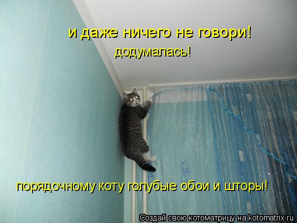 Котоматрица: и даже ничего не говори! порядочному коту голубые обои и шторы! додумалась!