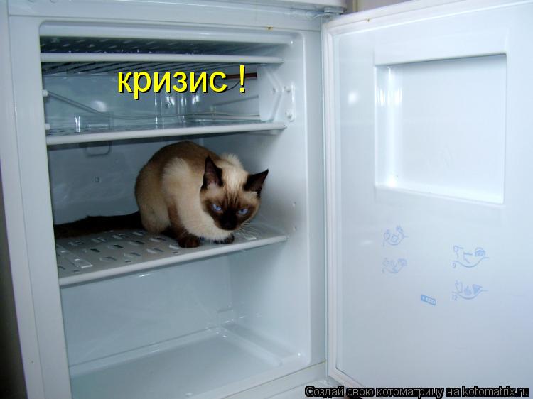 Котоматрица: кризис !