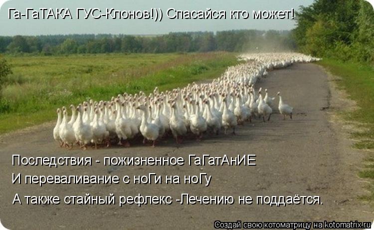 Котоматрица: Га-ГаТАКА ГУС-Клонов!)) Спасайся кто может! Последствия - пожизненное ГаГатАнИЕ И переваливание с ноГи на ноГу А также стайный рефлекс -Лечен