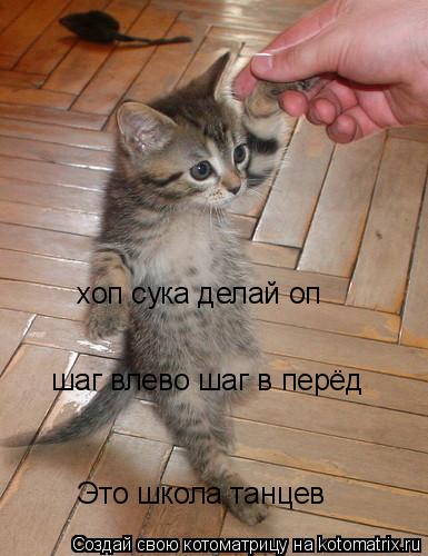 Котоматрица: Это школа танцев  шаг влево шаг в перёд хоп сука делай оп