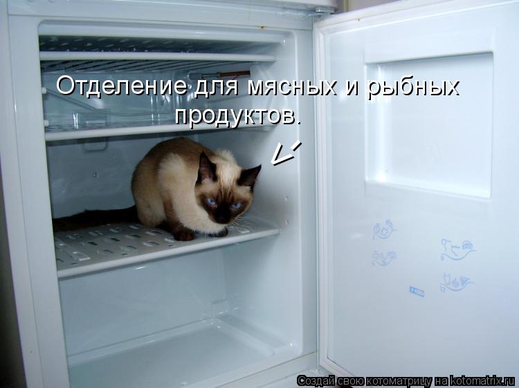 Отделение для мясных и рыбных продуктов. <-... Котоматрица: Отделение для мясных и рыбных продуктов. <-