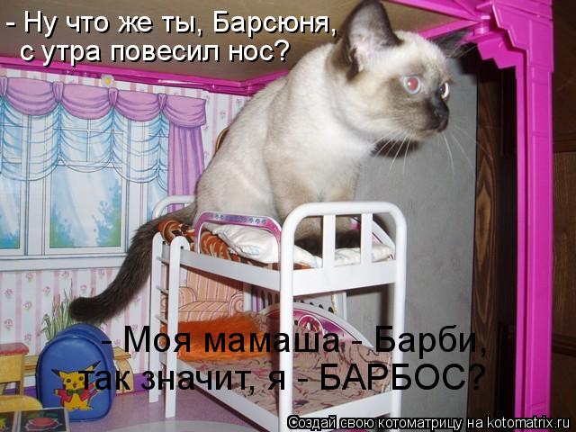 Котоматрица: - Ну что же ты, Барсюня,  с утра повесил нос?  - Моя мамаша - Барби,  так значит, я - БАРБОС?