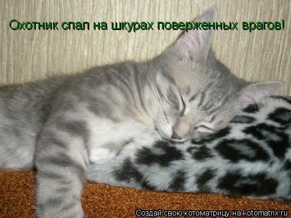 Охотник спал на шкурах поверженных врагов!... Котоматрица: Охотник спал на шкурах поверженных врагов!