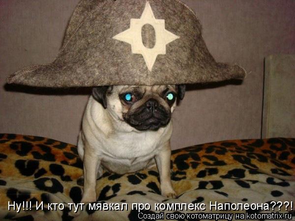 Ну!!! И кто тут мявкал про комплекс Наполеона???!!!... Котоматрица: Ну!!! И кто тут мявкал про комплекс Наполеона???!!!