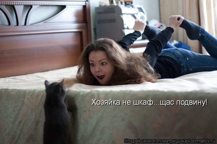 Котоматрица: Хозяйка не шкаф...щас подвину!
