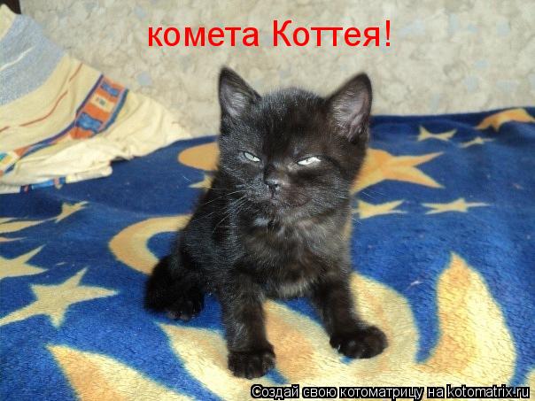 Котоматрица: комета Коттея!
