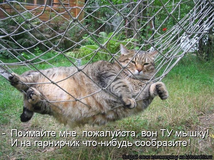 - Поймайте мне, пожалуйста, вон ТУ мышку! И на гарнирчик что-нибудь сообразите!... Котоматрица: - Поймайте мне, пожалуйста, вон ТУ мышку! И на гарнирчик что-нибудь сообразите!