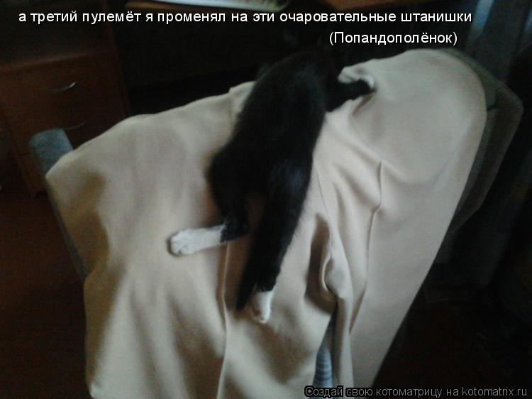 Котоматрица: а третий пулемёт я променял на эти очаровательные штанишки (Попандополёнок)