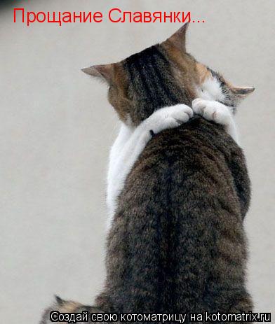 Котоматрица: Прощание Славянки...