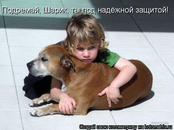 Котоматрица: Подремай, Шарик, ты под надёжной защитой!