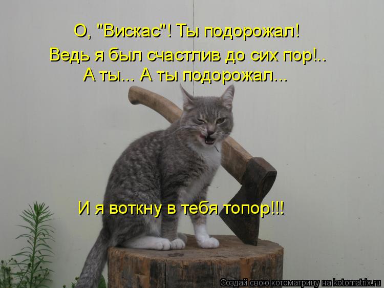 Котоматрица: О, "Вискас"! Ты подорожал! Ведь я был счастлив до сих пор!.. А ты... А ты подорожал... И я воткну в тебя топор!!!