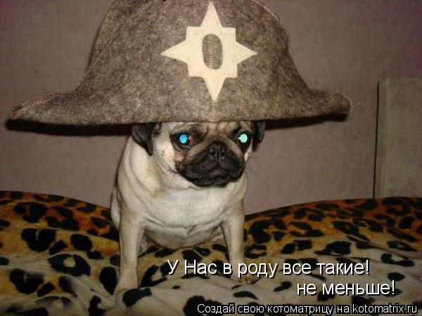 Котоматрица: У Нас в роду все такие! не меньше!