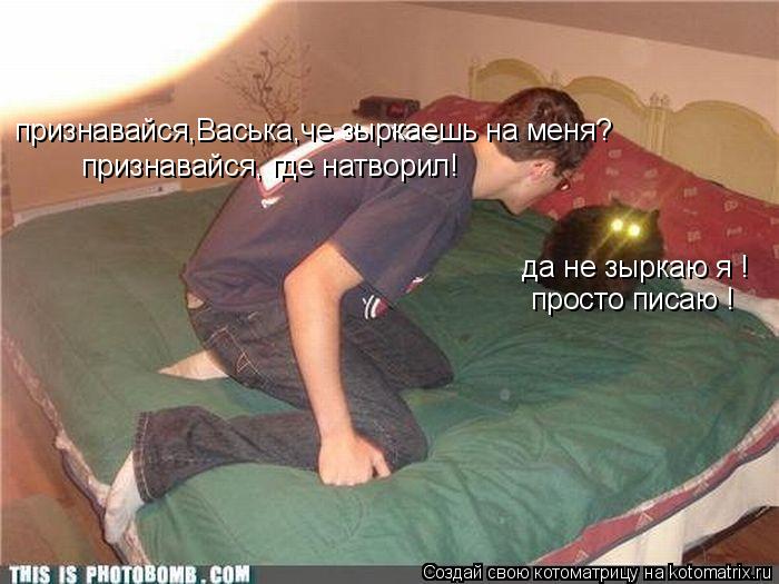 Котоматрица: признавайся,Васька,че зыркаешь на меня? да не зыркаю я ! просто писаю ! признавайся, где натворил!