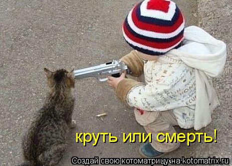 Котоматрица: круть или смерть!