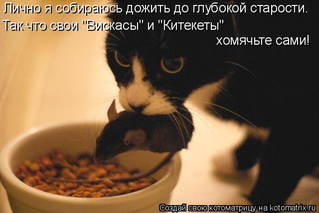 Котоматрица: Лично я собираюсь дожить до глубокой старости. Так что свои "Вискасы" и "Китекеты"  хомячьте сами!