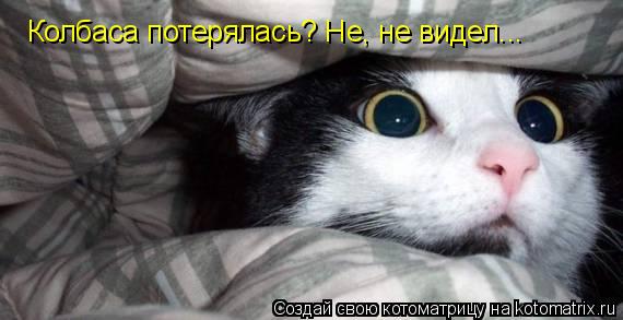 Котоматрица: Колбаса потерялась? Не, не видел...