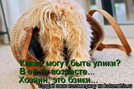 Котоматрица: Какие могут быть улики? В ее то возрасте... Хозяин, это бзики...