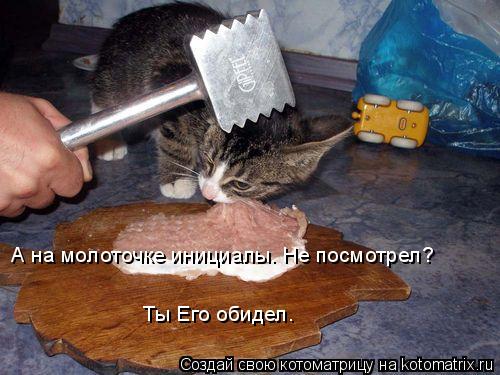 Котоматрица: А на молоточке инициалы. Не посмотрел? Ты Его обидел.