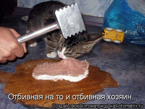 Котоматрица: Отбивная на то и отбивная хозяин...