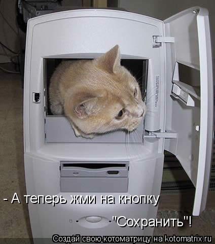 Котоматрица: - А теперь жми на кнопку  "Сохранить"!