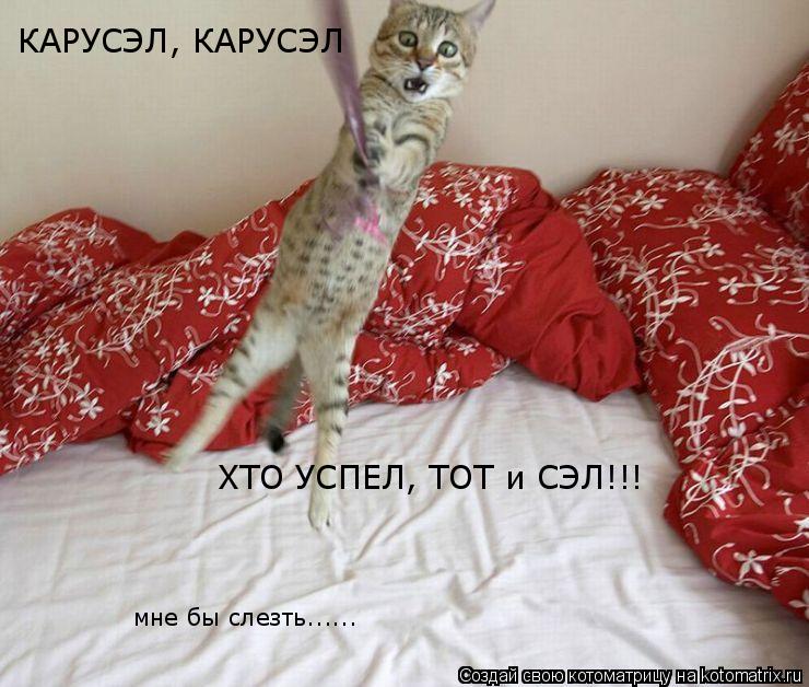 Котоматрица: КАРУСЭЛ, КАРУСЭЛ ХТО УСПЕЛ, ТОТ и СЭЛ!!! мне бы слезть......
