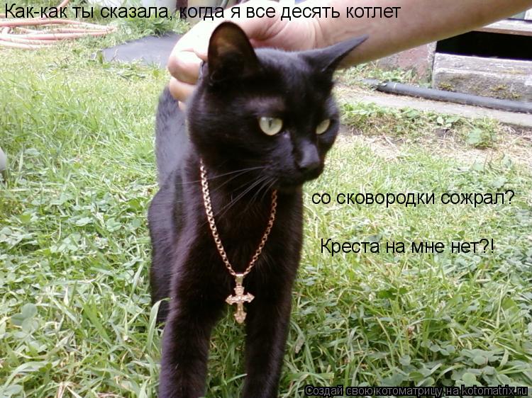 Котоматрица: Как-как ты сказала, когда я все десять котлет  со сковородки сожрал? Креста на мне нет?!