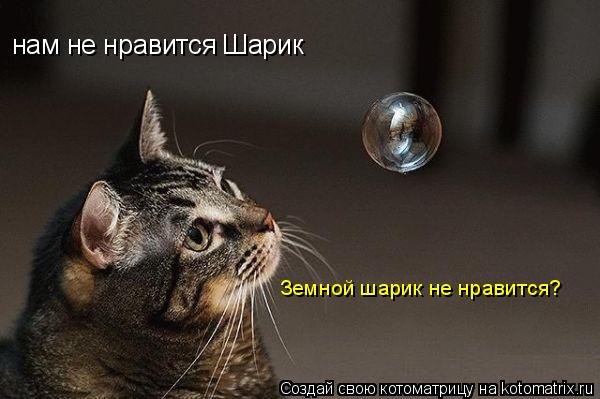 Котоматрица: нам не нравится Шарик Земной шарик не нравится?