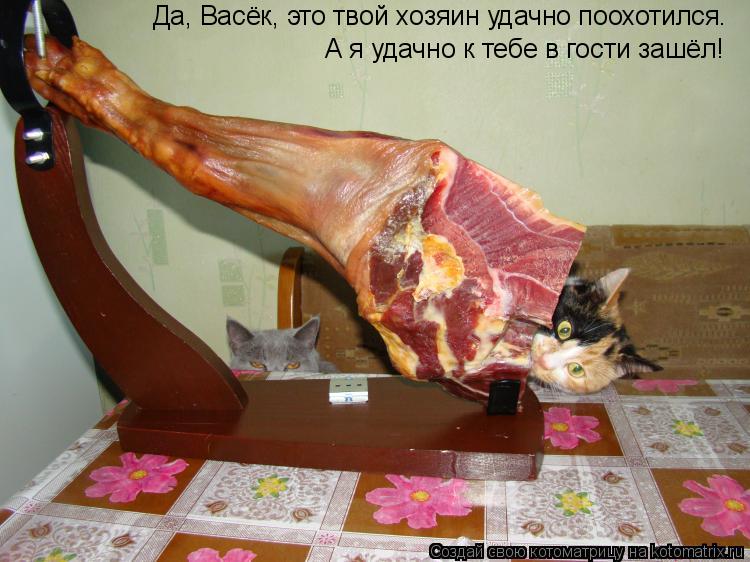 Котоматрица: Да, Васёк, это твой хозяин удачно поохотился. А я удачно к тебе в гости зашёл!