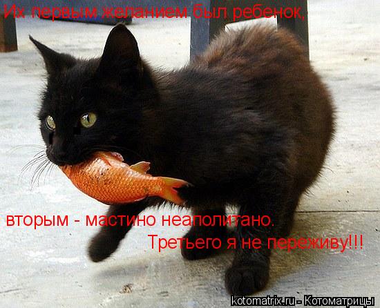 Котоматрица: Их первым желанием был ребенок, вторым - мастино неаполитано. Третьего я не переживу!!!