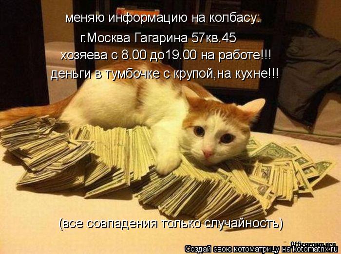 Котоматрица: меняю информацию на колбасу: г.Москва Гагарина 57кв.45 хозяева с 8.00 до19.00 на работе!!! деньги в тумбочке с крупой,на кухне!!! (все совпадения толь