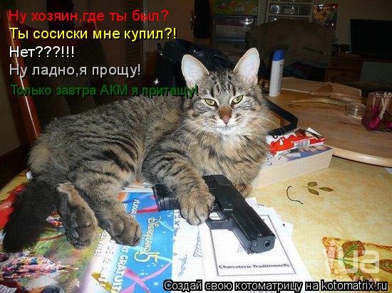 Котоматрица: Ну хозяин,где ты был? Ты сосиски мне купил?! Нет???!!! Ну ладно,я прощу! Только завтра АКМ я притащу!