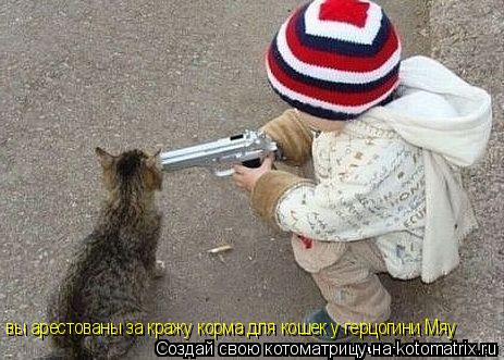 Котоматрица: вы арестованы за кражу корма для кошек у герцогини Мяу