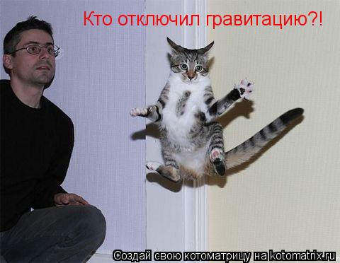 Котоматрица: Кто отключил гравитацию?!