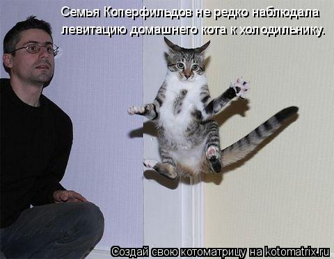 Котоматрица: Семья Коперфильдов не редко наблюдала левитацию домашнего кота к холодильнику.