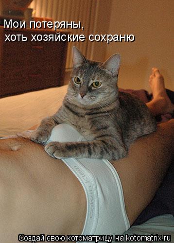 Котоматрица: Мои потеряны,  хоть хозяйские сохраню