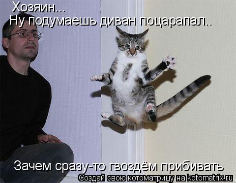 Хозяин... Ну подумаешь диван поцарапал.. Зачем сразу-то гвоздём прибивать... Котоматрица: Хозяин... Ну подумаешь диван поцарапал.. Зачем сразу-то гвоздём прибивать